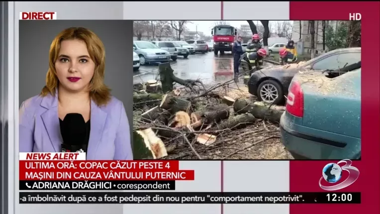 Copac cazut peste patru masini, din cauza vantului puternic