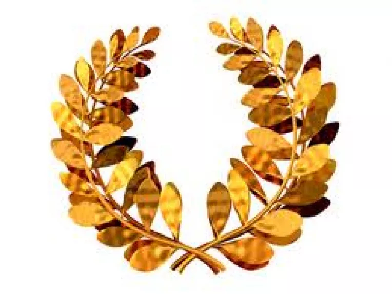 Coronita de premiant de la Marele Arbitru: Capcana in care cad Dragnea si Zgonea