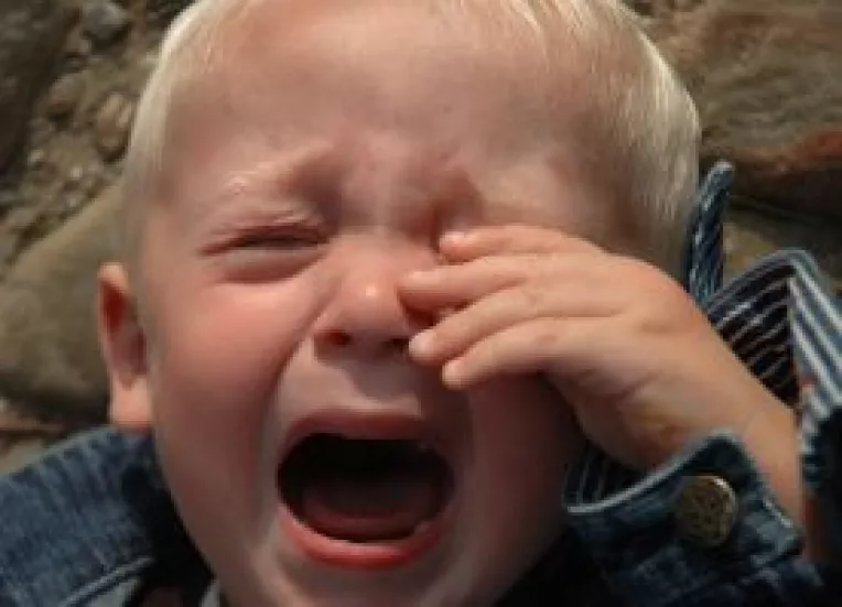 Craiova : Un caine maidanez i-a perforat urechea si i-a provocat rani la cap unui copil de 1 an si 4 luni