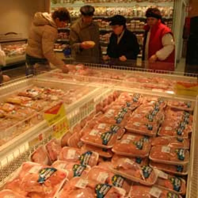 Crescatorii de pui au scazut pretul cu 20%