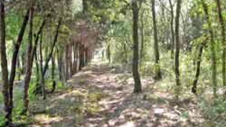 Creste suprafata impadurita a tarii