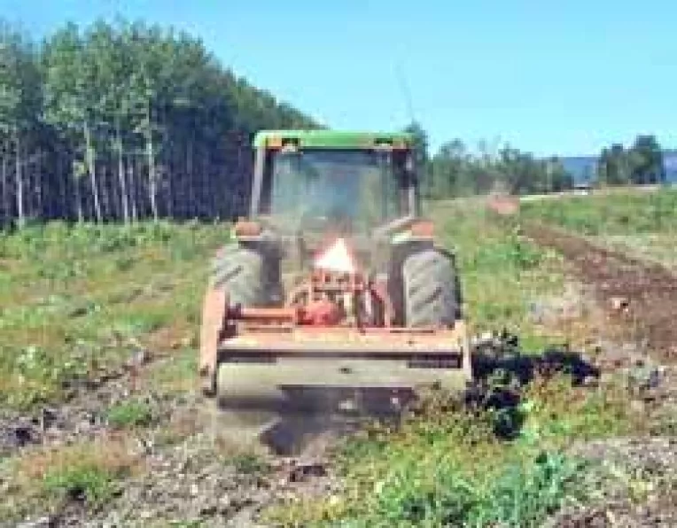 Crucea si Lumina au ramas in asteptare
