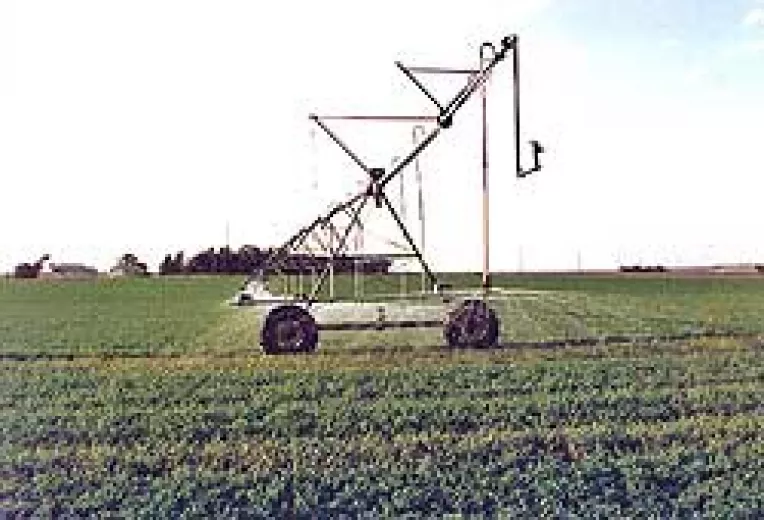 Culturile agricole plang dupa irigatii