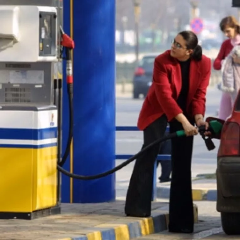 Culturile traditionale pierd teren in fata celor pentru biocombustibili