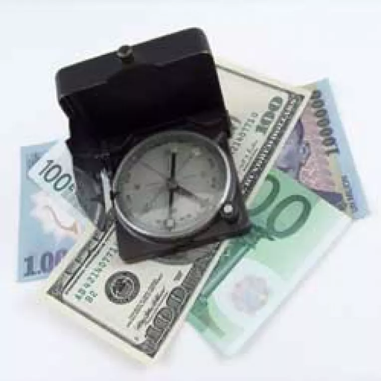 Cursul leului, la cheremul unor prognoze invechite