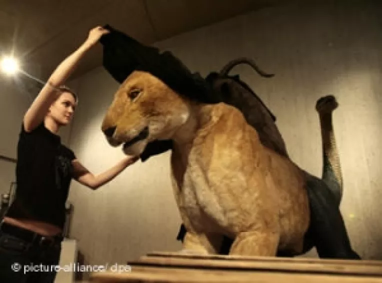 Dan Pavel: "Guvernarea de dreapta propusa de Basescu este o himera"