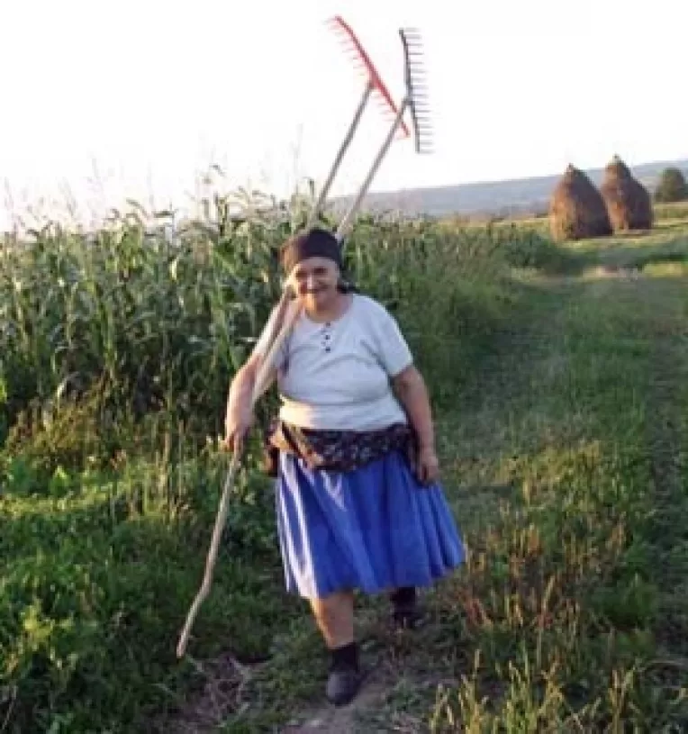 De frica secetei, taranii isi lasa pamantul necultivat