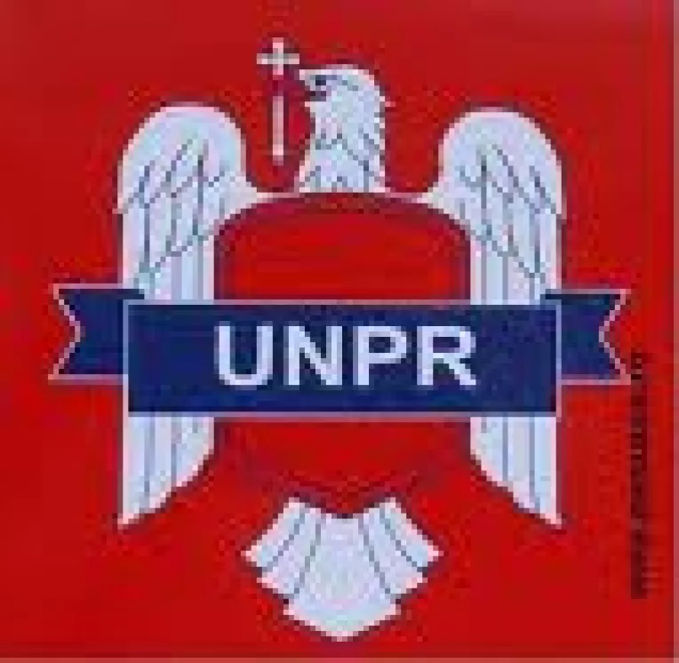 Degringolada: Motiunea de cenzura divide UNPR