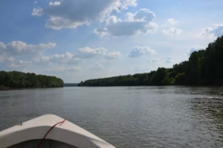 Delta Dunarii de Calarasi: Calatorie cu barca cu motor pe canalele cu vegetatie luxurianta in care se ascund zeci de specii de pasari