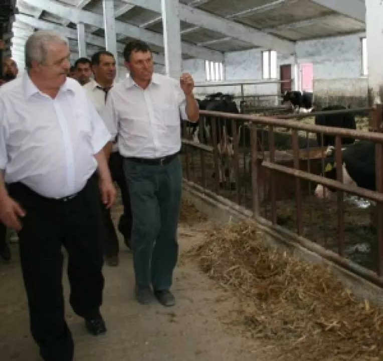 Departamentul de Alocare a Cotelor de Lapte suplimenteaza cota de lapte pentru anumiti fermieri