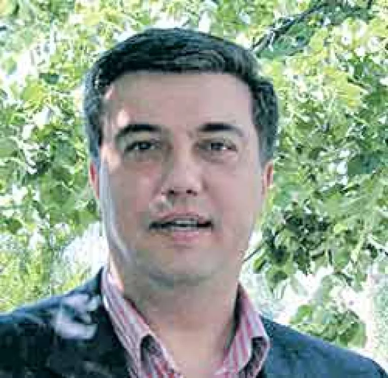 "Desfiintarea PNL este visul lui Stoica, dar pana acum nu i-au iesit jocurile"