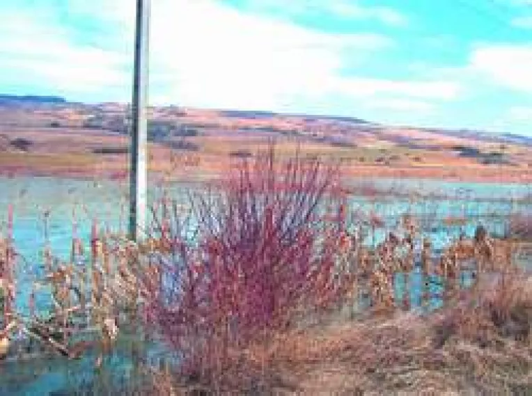 Dezastru in agricultura salajeana