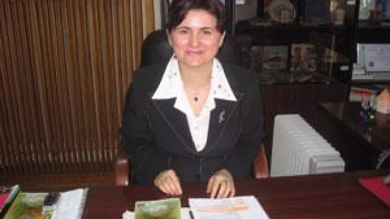 Dezvoltarea regionala, un mister pentru oficialii europeni. Oltenia vrea 500 de milioane de euro de la UE