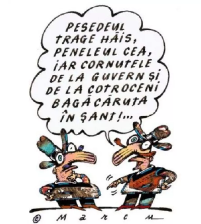 Dilema opozitiei: Preluarea guvernarii la termen sau prin alegeri anticipate?