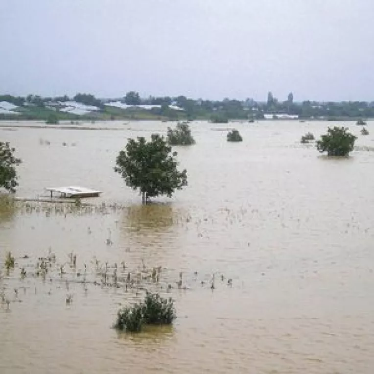 Din ce in ce mai multi fermieri isi asigura culturile
