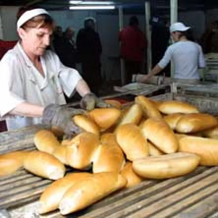 Din toamna vom plati painea cu 1.000 de lei mai mult