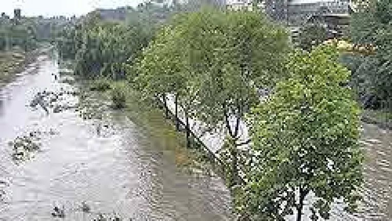 Directia Silvica a dat 8.000 RON pe inundatii