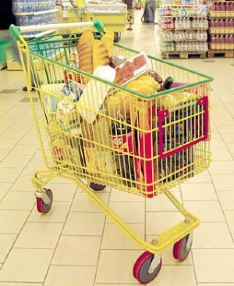 Doar bunurile alimentare mai umplu cosurile romanilor. Comertul cu amanuntul, in regres comparativ cu 2008
