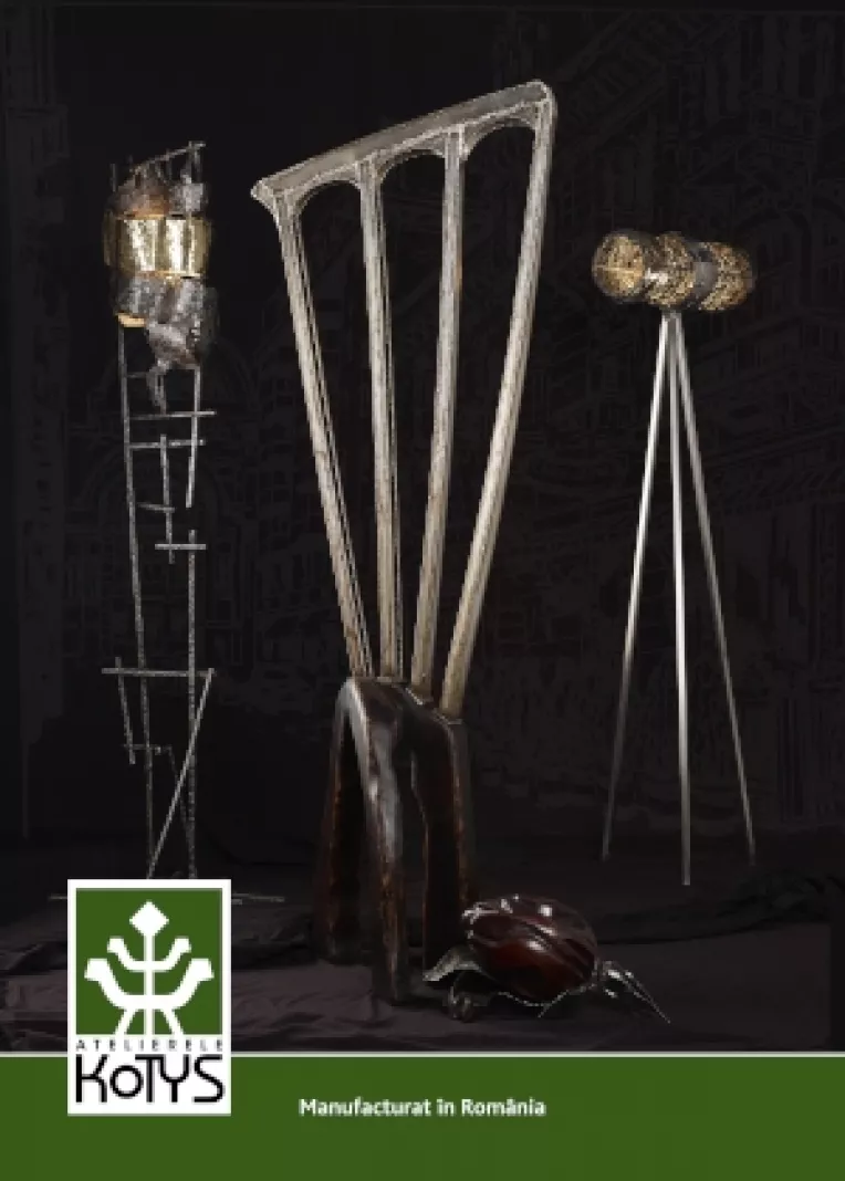 Doi tineri iti transforma obiectele din casa in opere de arta