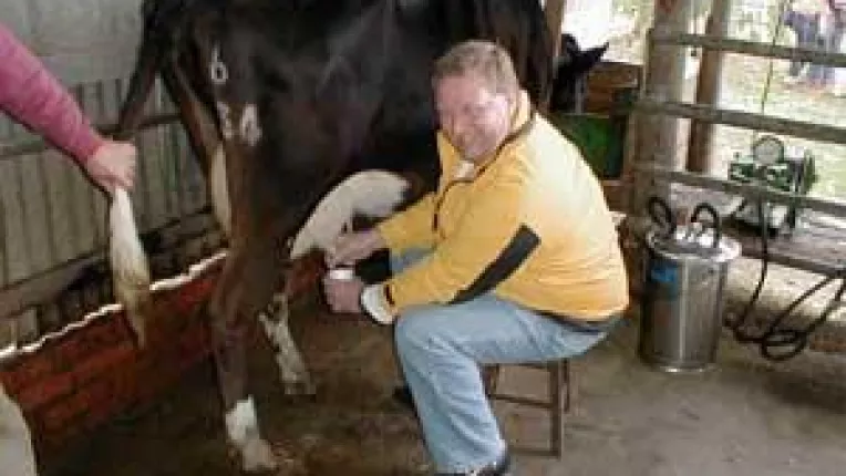 Doljenii, zelosi in obtinerea cotelor de lapte