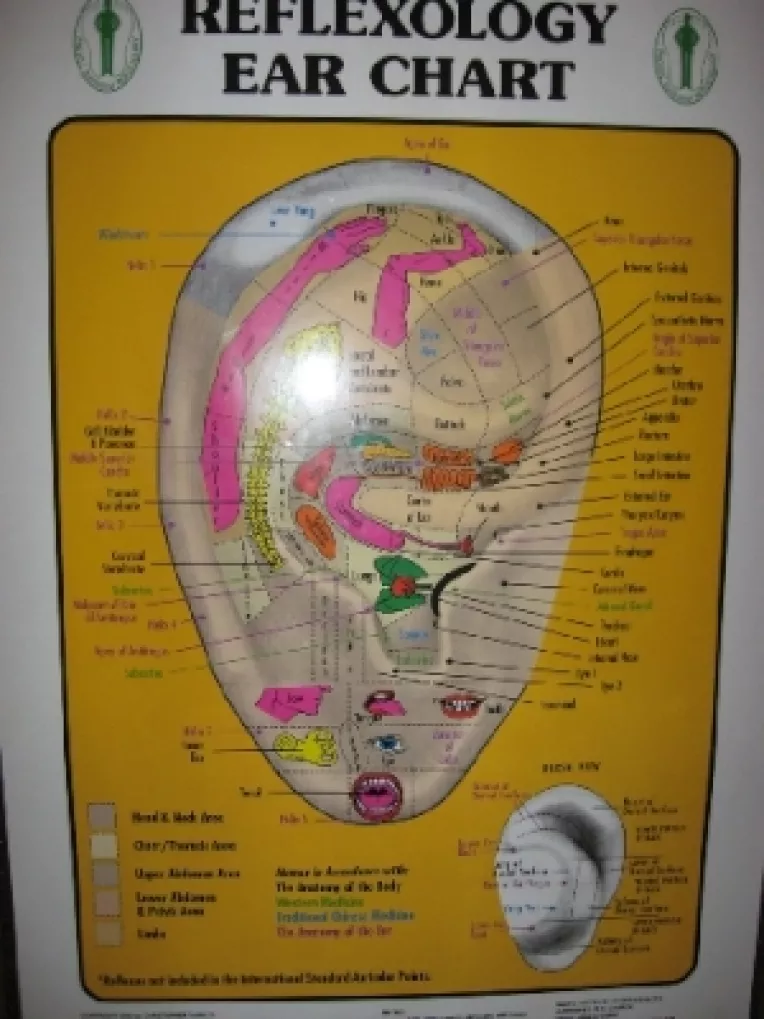 Dr. Iuliana Avadanei: "Reflexoterapia are ca efect disparitia durerii si a altor simptome!"