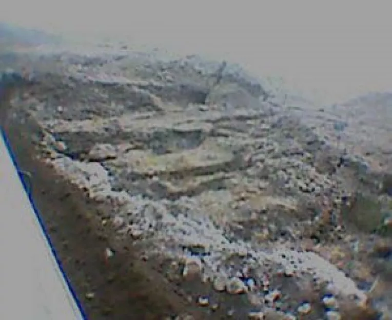 Durbaca trage linie si ataca