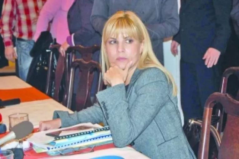 Elena Udrea pregateste o lege a turismului