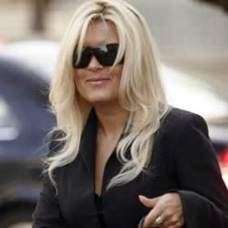 Elena Udrea s-a inscris in PD