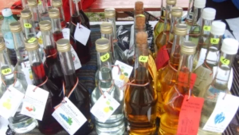 Emil Florescu: "E incompatibila notiunea de producator traditional cu utilizarea unor tehnologii mecanizate!"