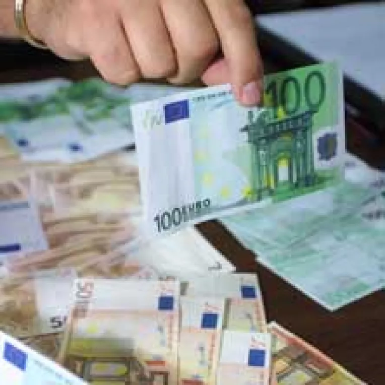 Euro cade rapus de leu