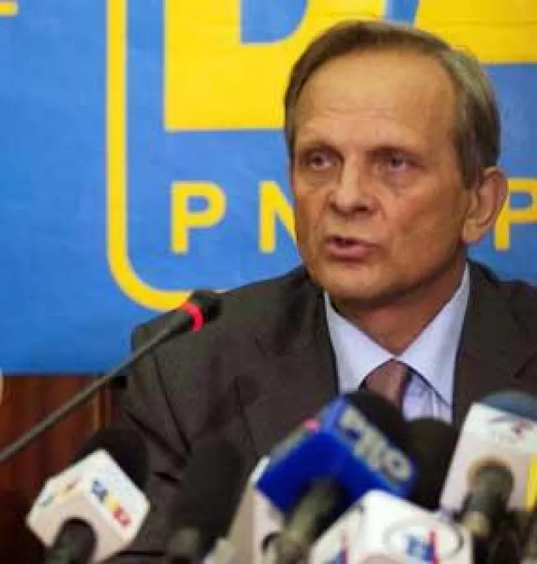 Excluderea lui Stolojan, ceruta de filiale ale PNL