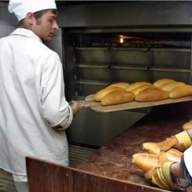 Fabrici de paine fara contracte individuale de munca