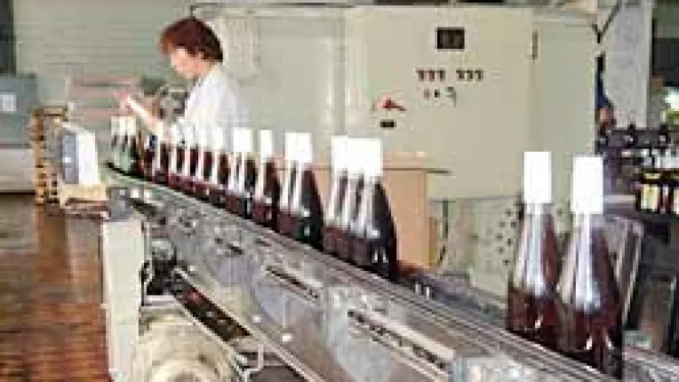 Fabrici la cheie pentru romanii intreprinzatori