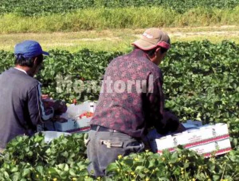 Facilitati pentru beneficiarii rentei agricole