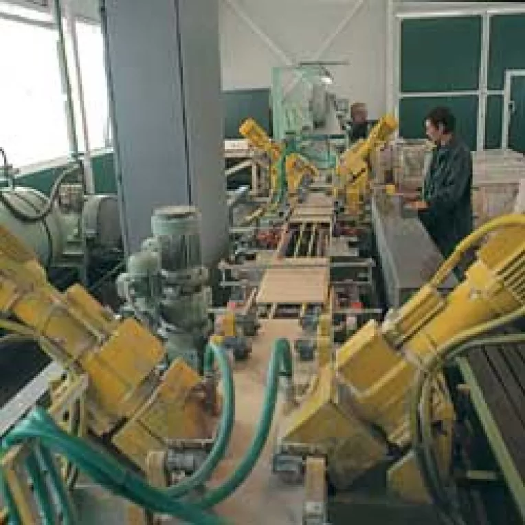 Firmele romanesti sunt cele mai optimiste din Europa