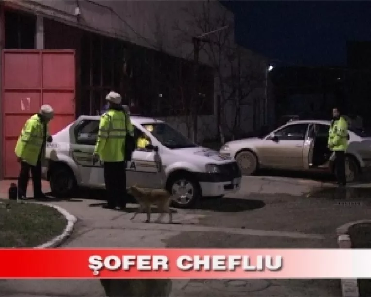 Flagrant delict: Beat la volan, plic cu droguri, braconaj la vanatoare, furt din autoturism