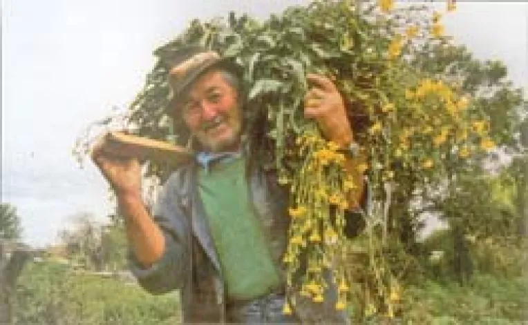 Fonduri pentru culturile de toamna