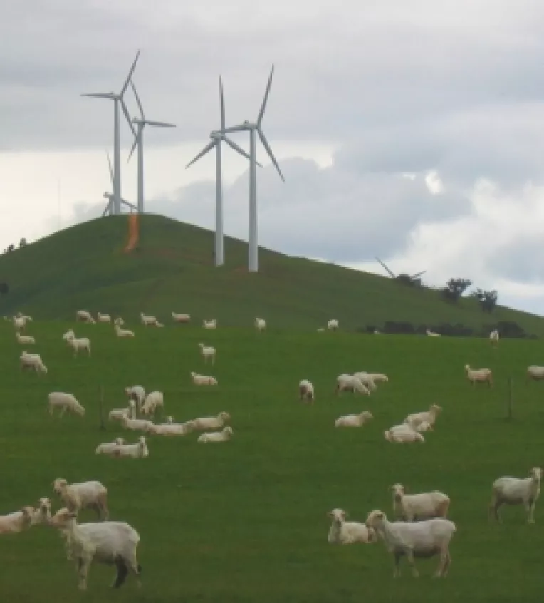 Fondurile pentru sursele de energie regenerabila pot fi accesate din acest trimestru
