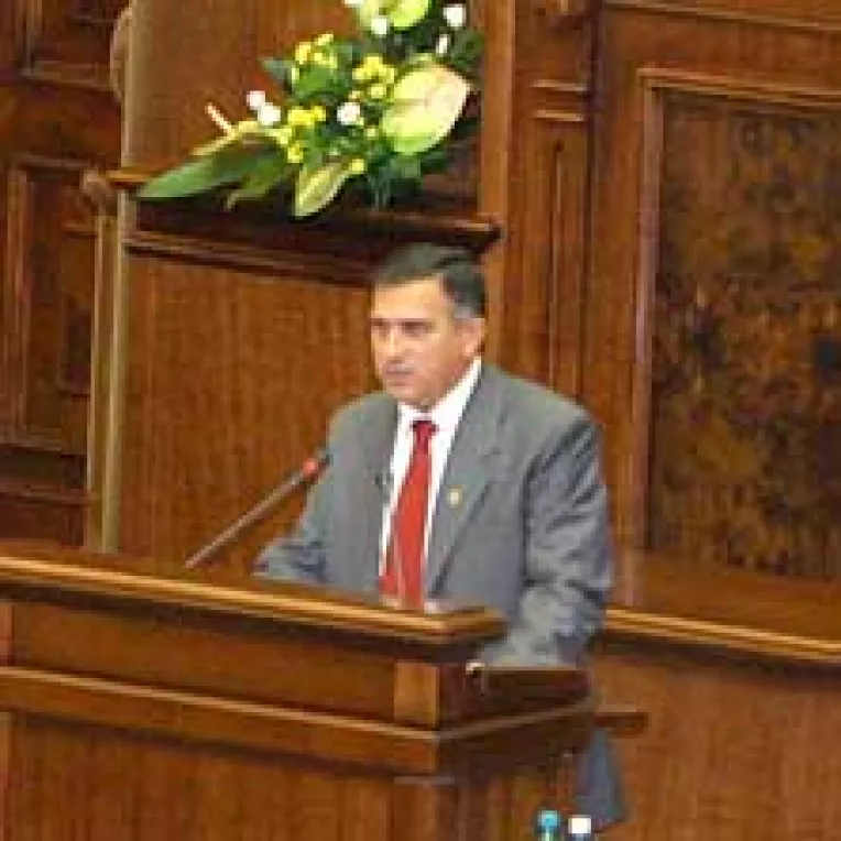 Funar "vorba-lunga", cel mai activ dintre senatori