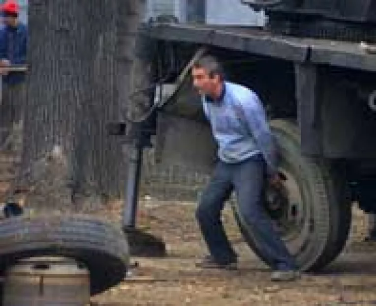 Furturi de 600 de milioane pe zi