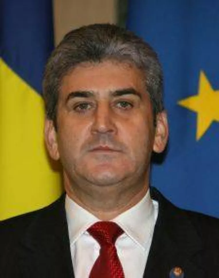 Gabriel Oprea, presedintele UNPR, vorbeste despre "o casatorie din interes" intre PSD si PNL