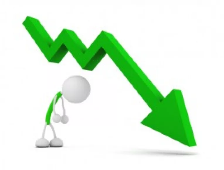 Gafa de proportii: PDL a imprumutat culoarea verde a legionarilor