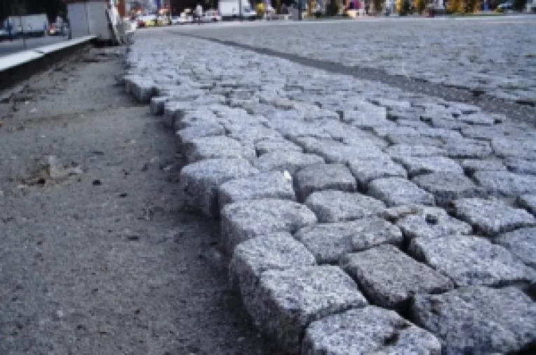 Gand rau pus gardului: Roberta Anastase vrea sa-l darame