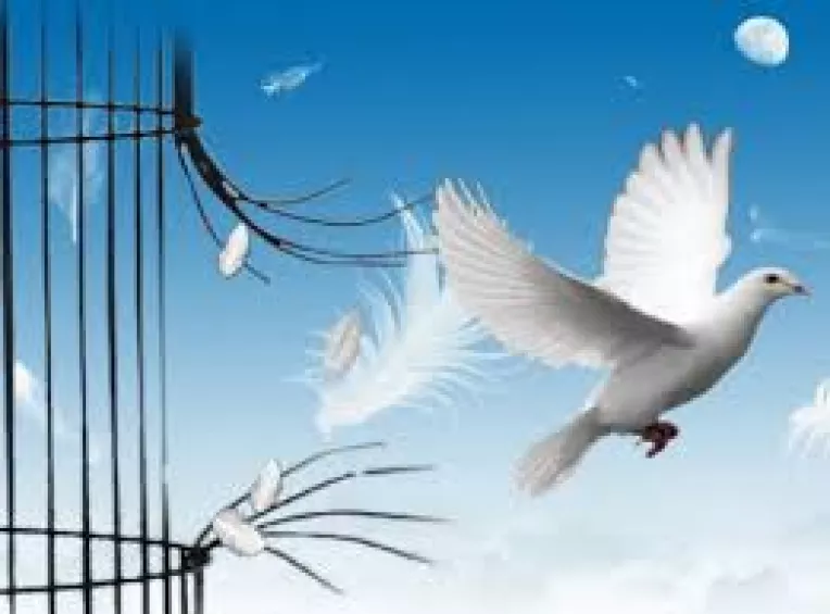 Ganduri despre LIBERTATE