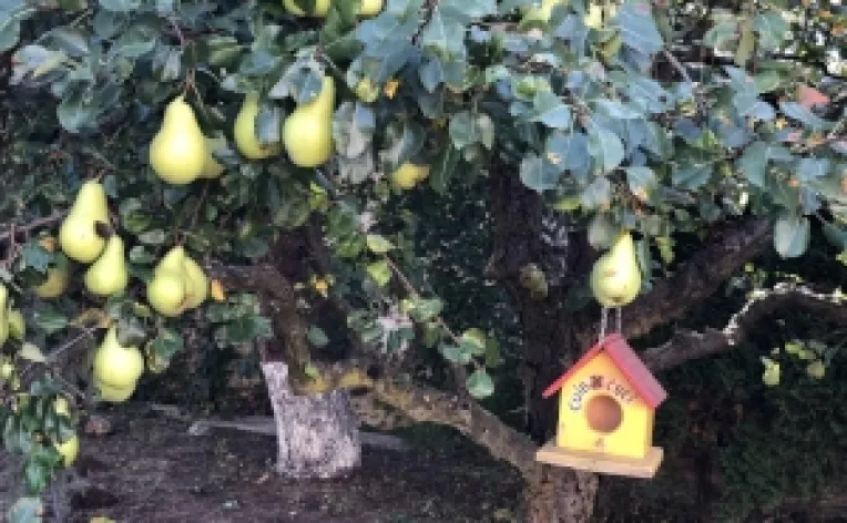 Gandurile lui Adrian Nastase intr-o zi de toamna