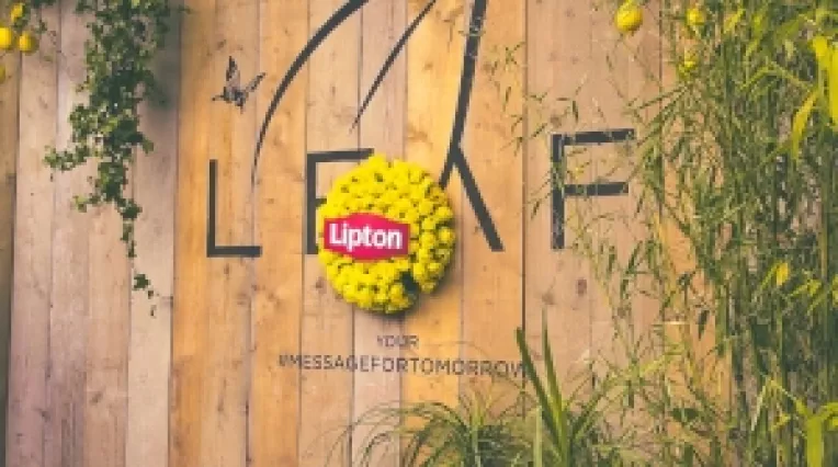 Gasca Lipton Ice Tea a dat #verdelamuzica la Tomorrowland