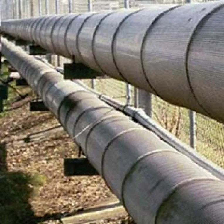 Gaze naturale pentru litoralul romanesc 
