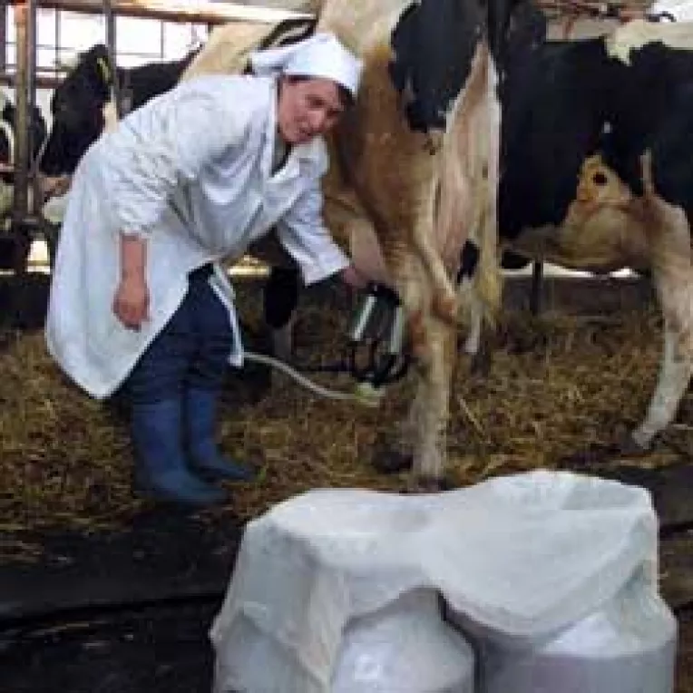 Gheorghe Flutur ar vrea un pret de referinta si pentru lapte