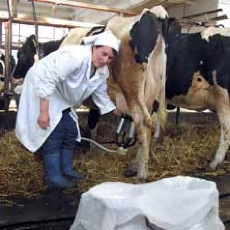 Gheorghe Flutur se lupta cu steguletele rosii din agricultura