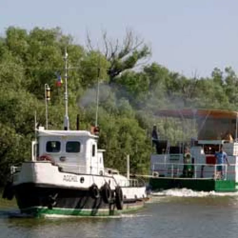 Gripa aviara pune pe butuci turismul din Delta Dunarii